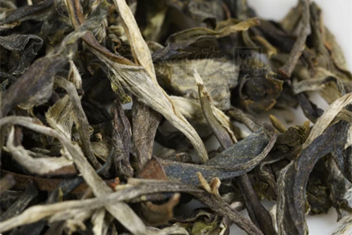 China Yunnan Pu 'er Tea 2024 Jeep No.613 Oarata Raw Tea 480 g